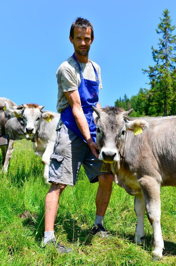 Sule Hof Agriturismo