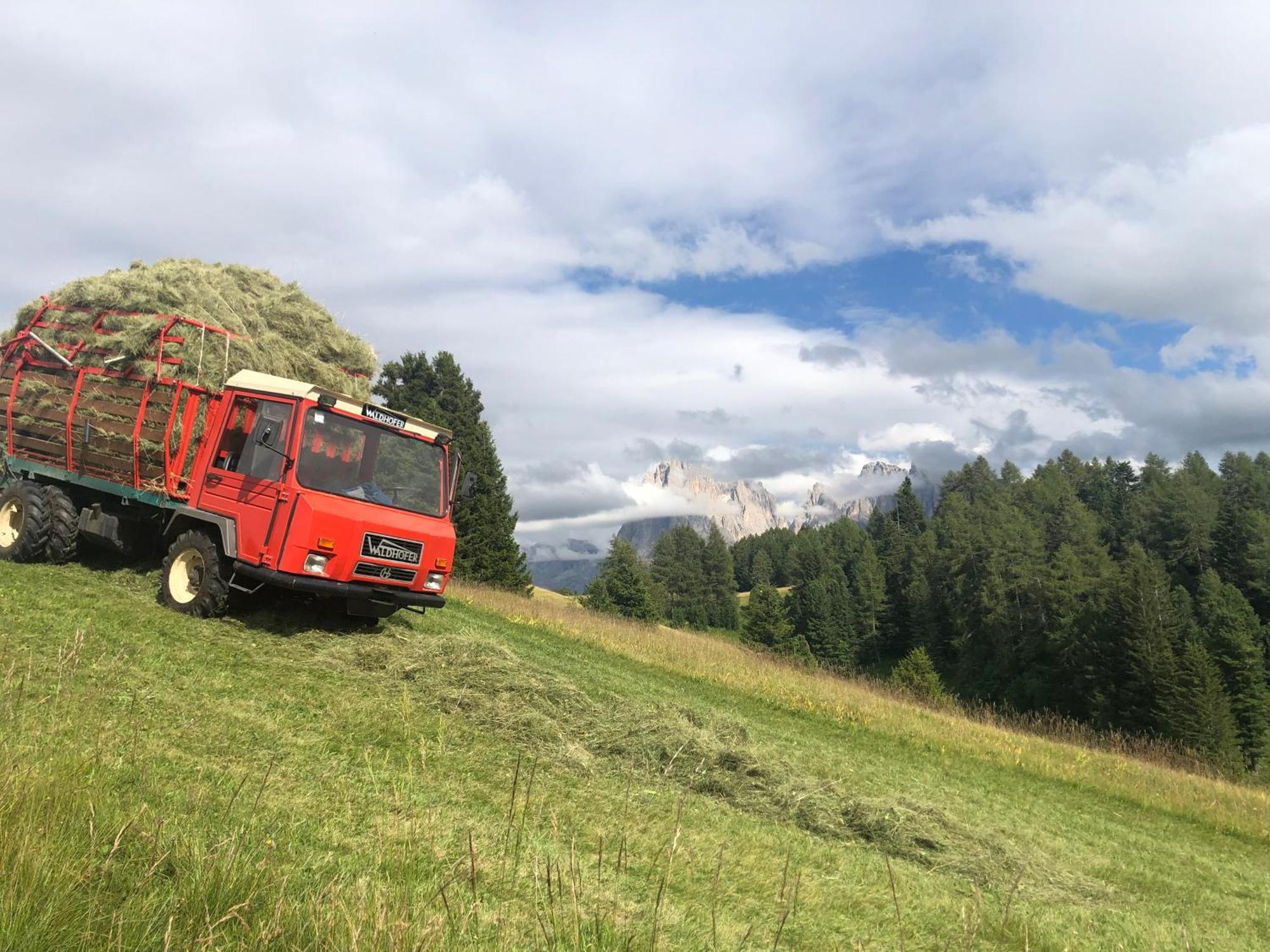 Sule Hof Ortisei
