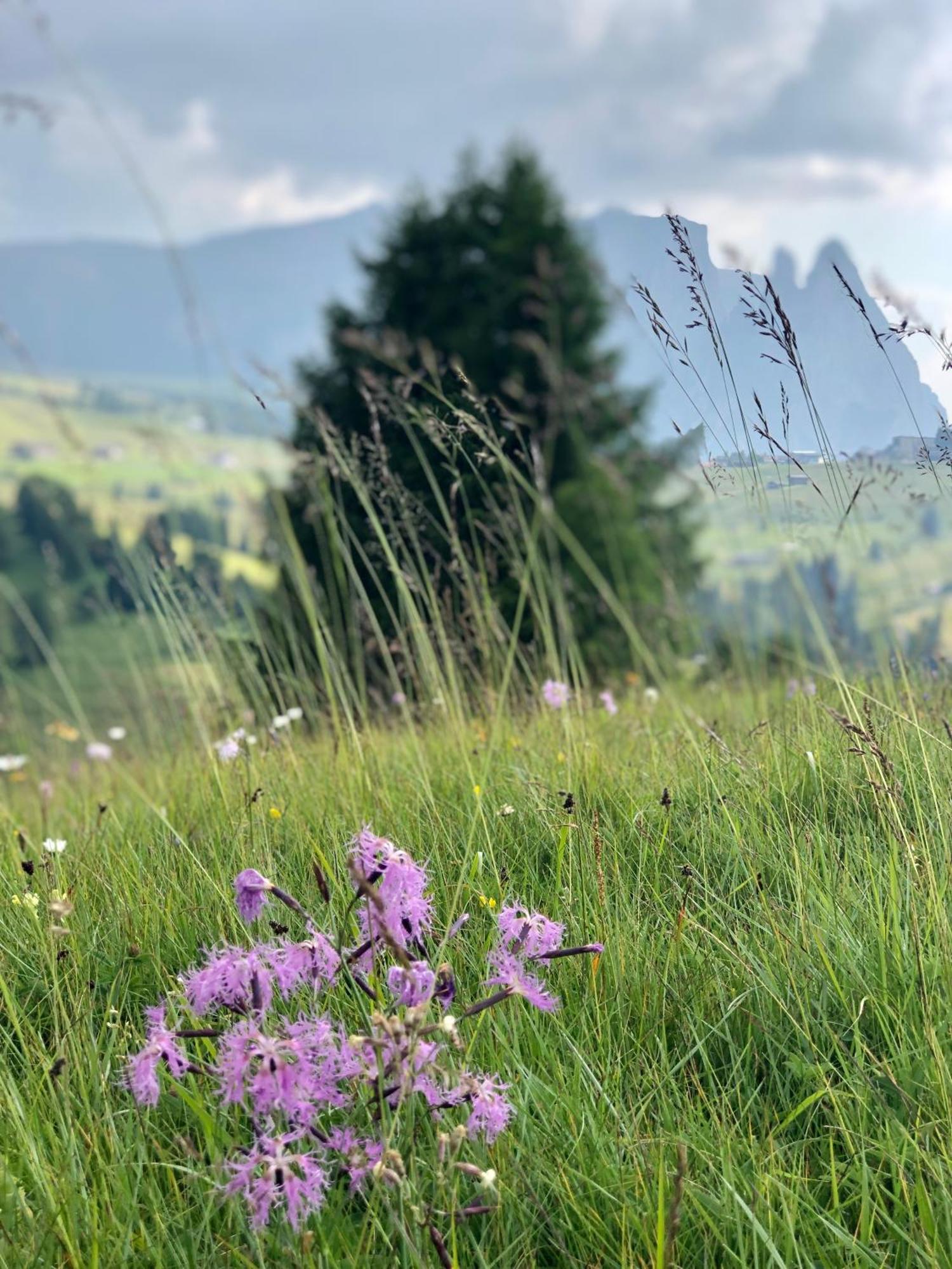 Sule Hof Agroturismo Ortisei